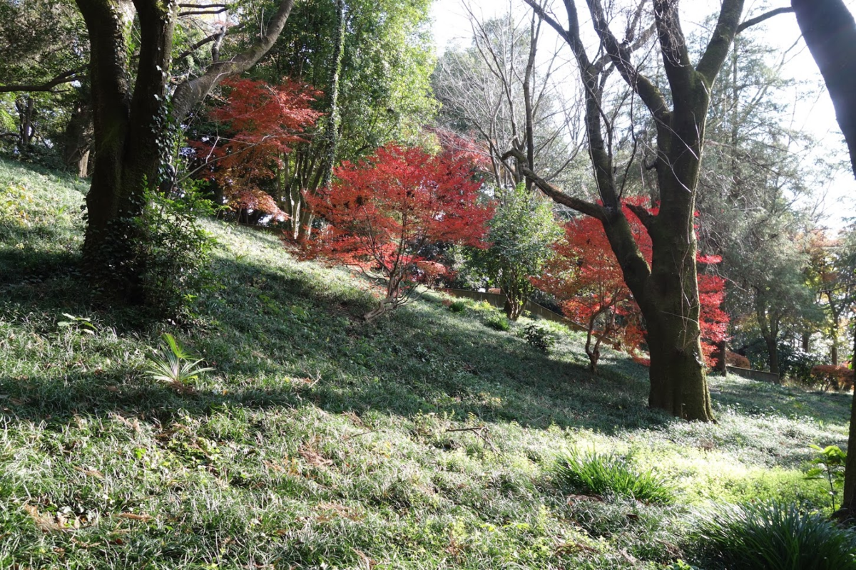 f:id:massneko:20210104121209p:plain