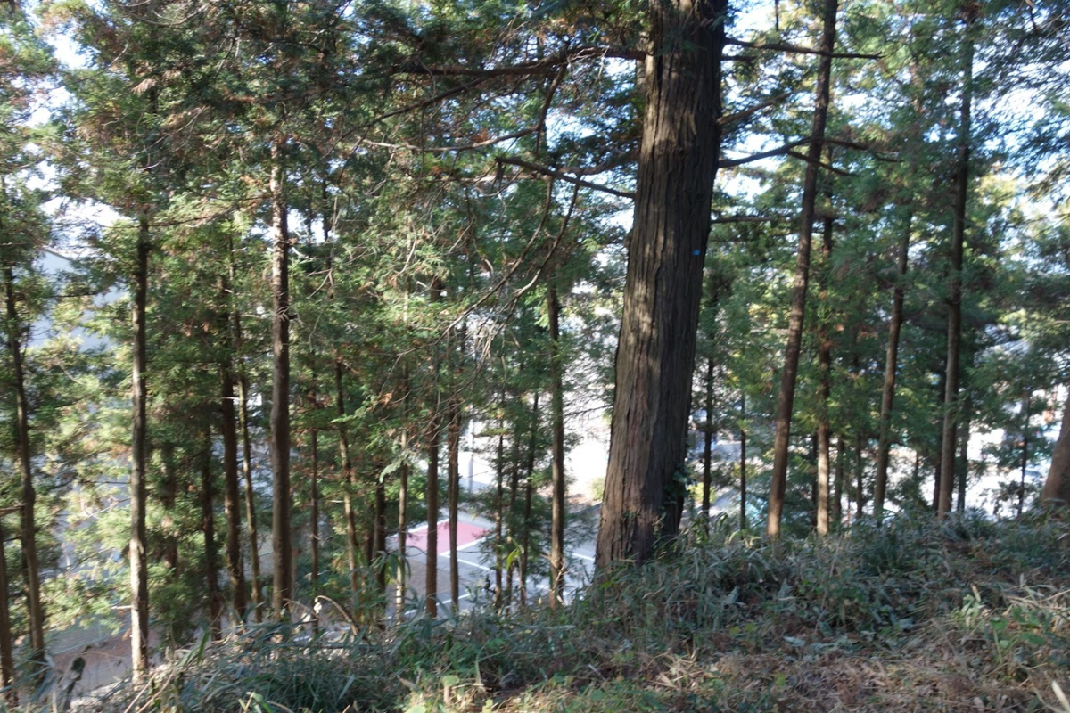 f:id:massneko:20210104121449p:plain