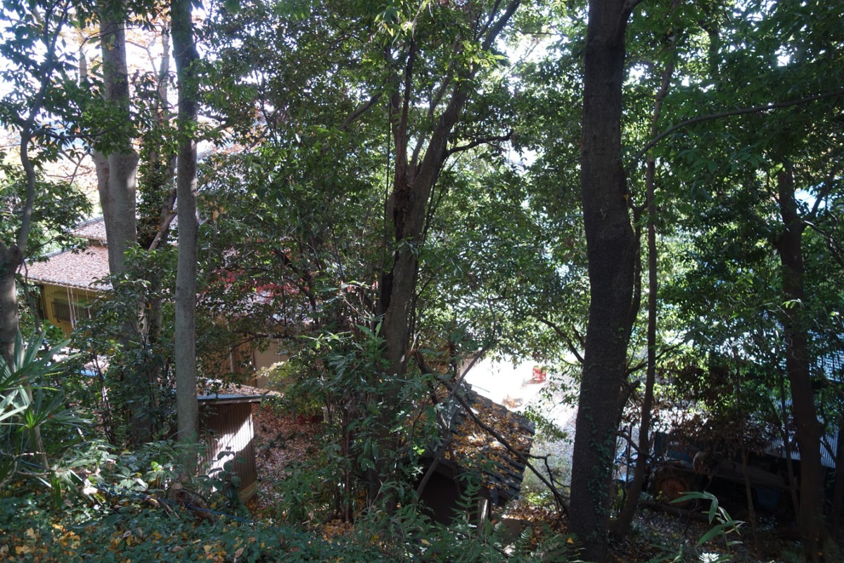 f:id:massneko:20210104121709p:plain