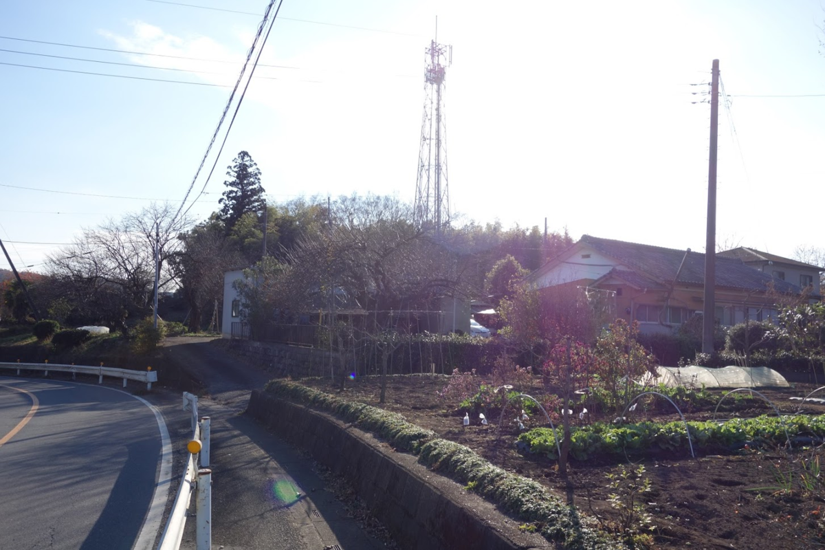 f:id:massneko:20210104132226p:plain