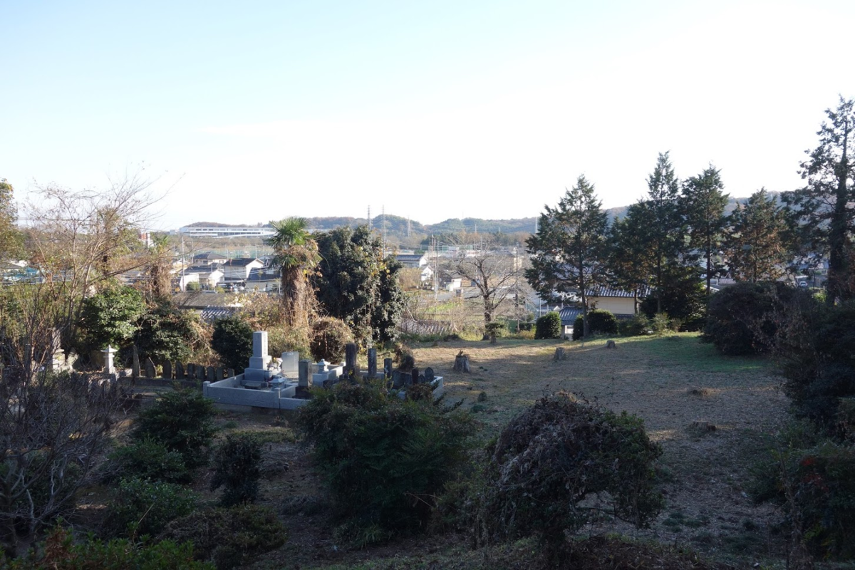 f:id:massneko:20210104142417p:plain