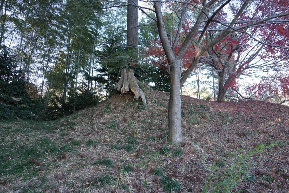 f:id:massneko:20210104142432p:plain