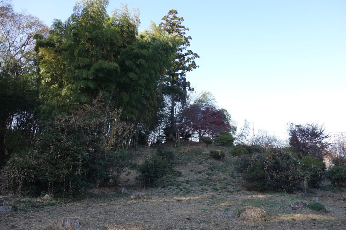 f:id:massneko:20210104142629p:plain