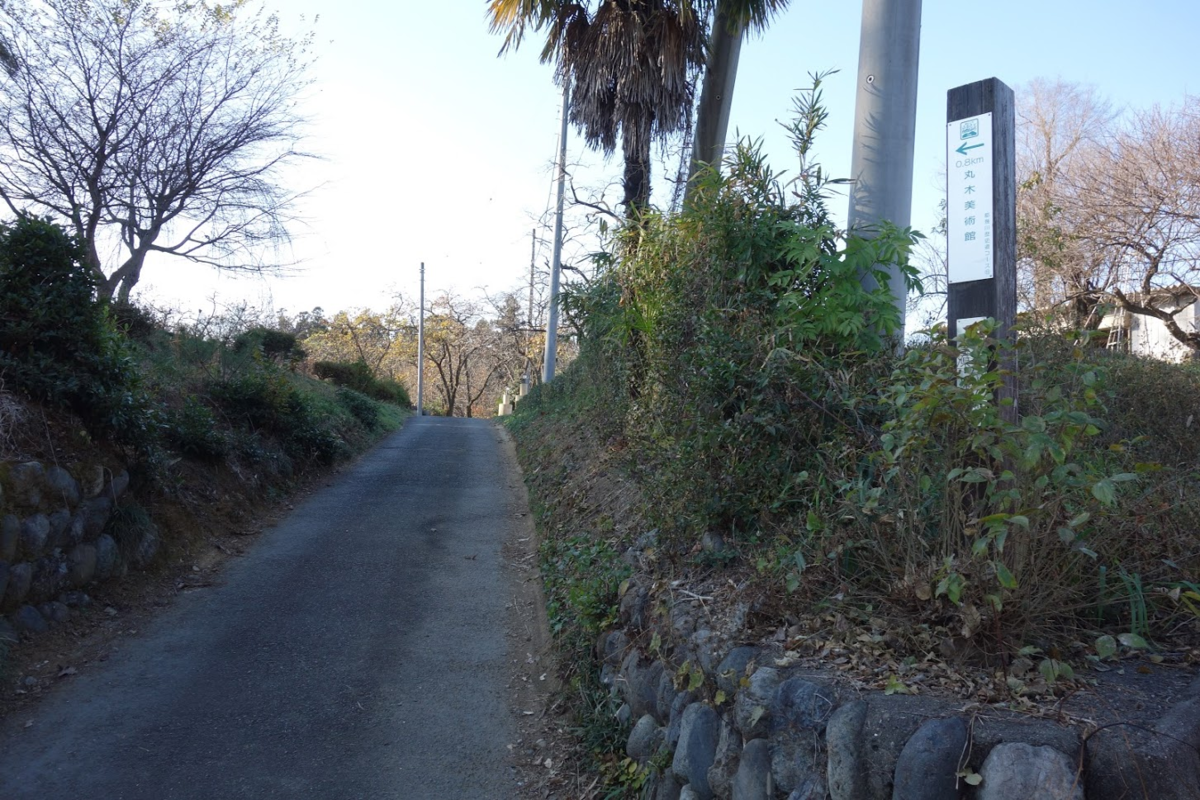 f:id:massneko:20210104142741p:plain