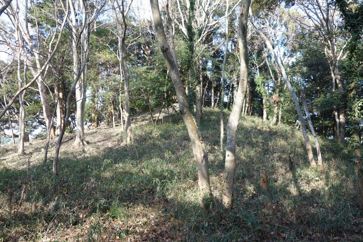 f:id:massneko:20210105160138p:plain