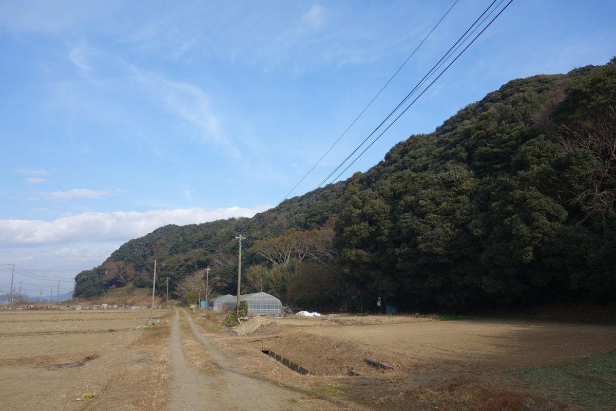 f:id:massneko:20210105162520p:plain