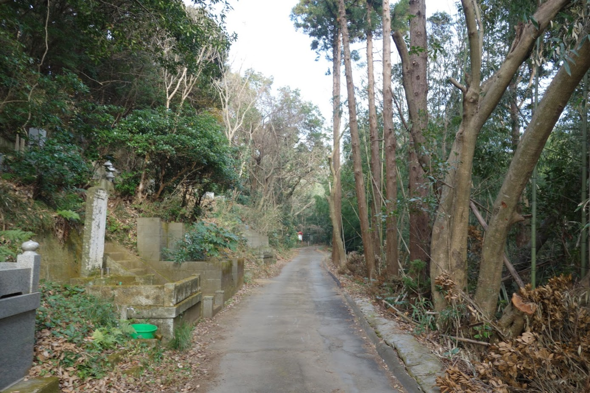 f:id:massneko:20210105162812p:plain
