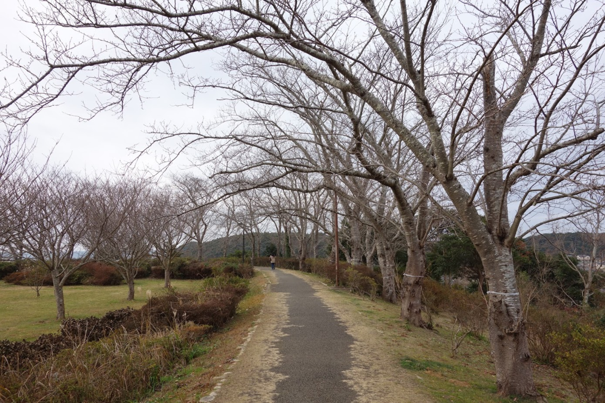 f:id:massneko:20210105165540p:plain