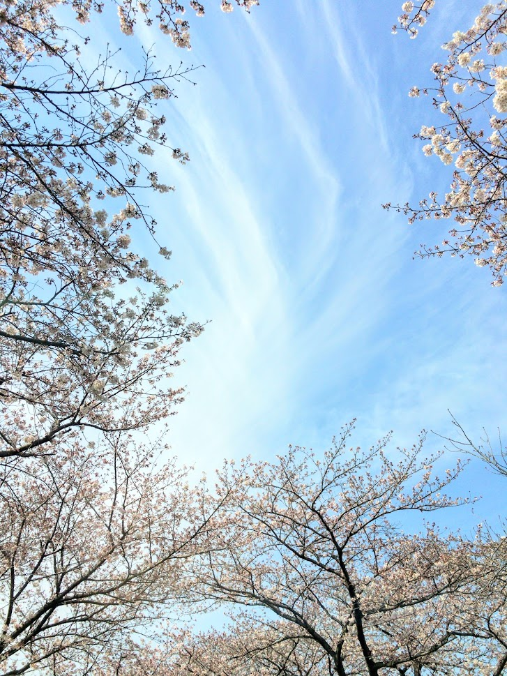 f:id:massneko:20210315105236p:plain