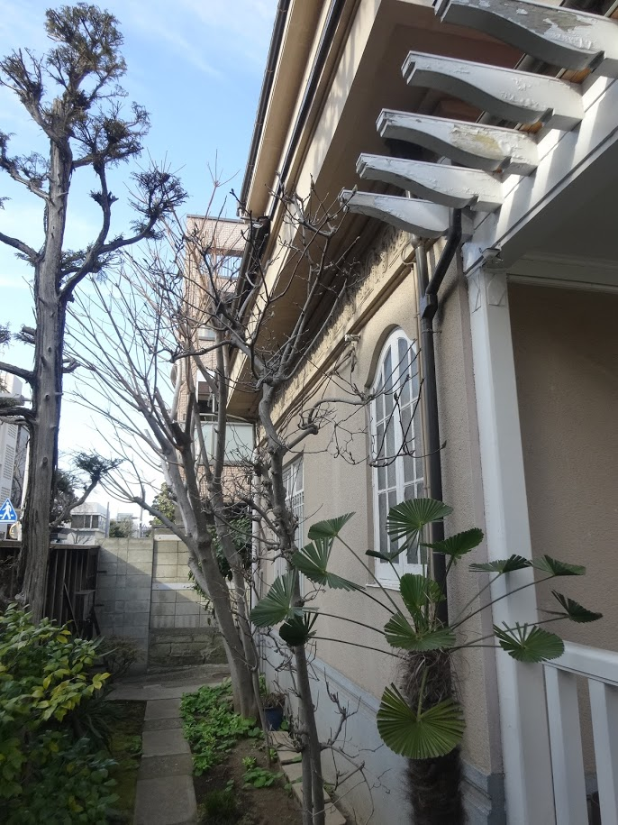 f:id:massneko:20210321223558p:plain