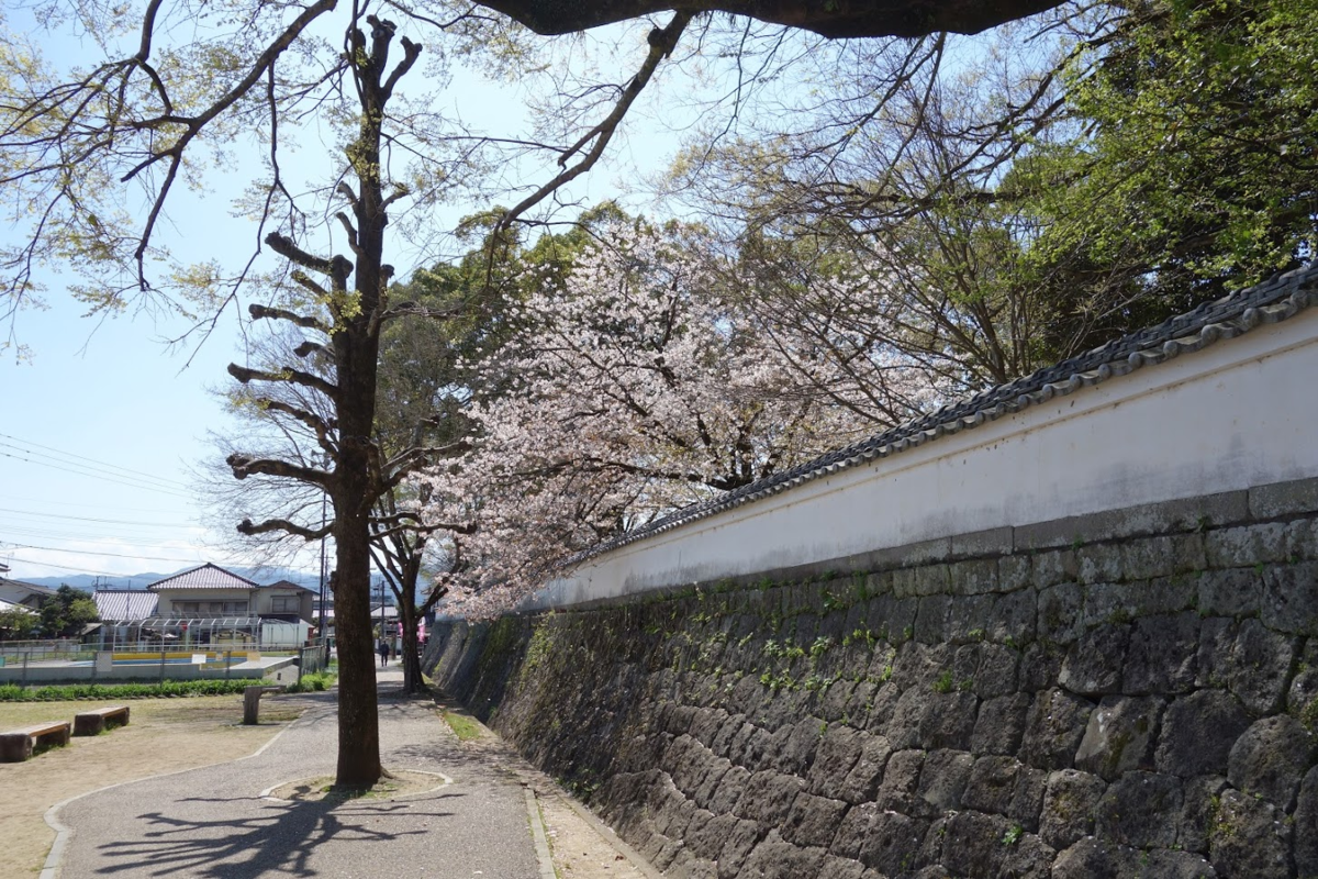 f:id:massneko:20210329101142p:plain