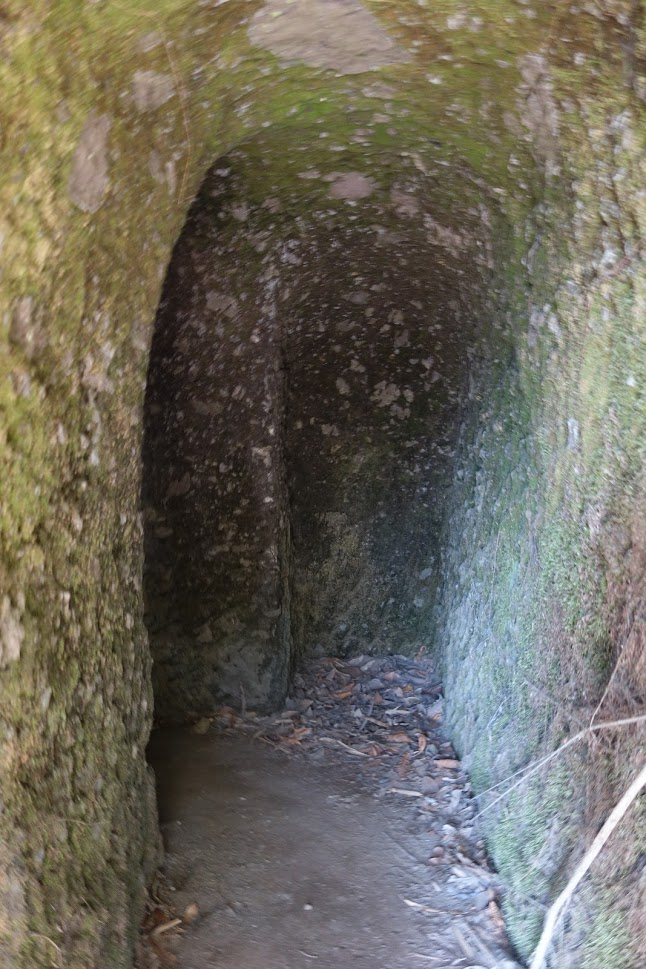 f:id:massneko:20210329101338p:plain