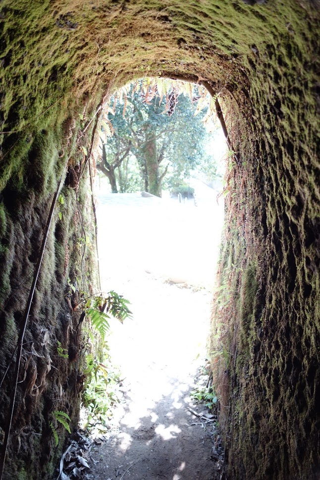 f:id:massneko:20210329101436p:plain