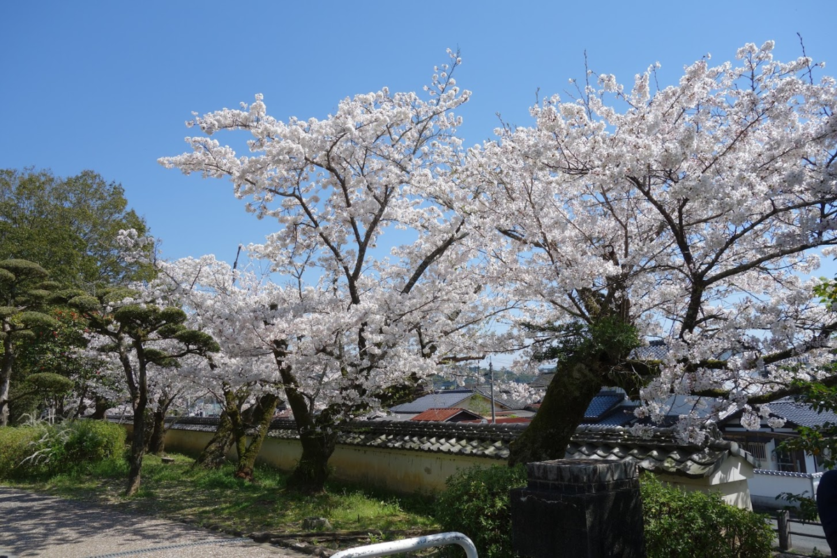 f:id:massneko:20210329101508p:plain