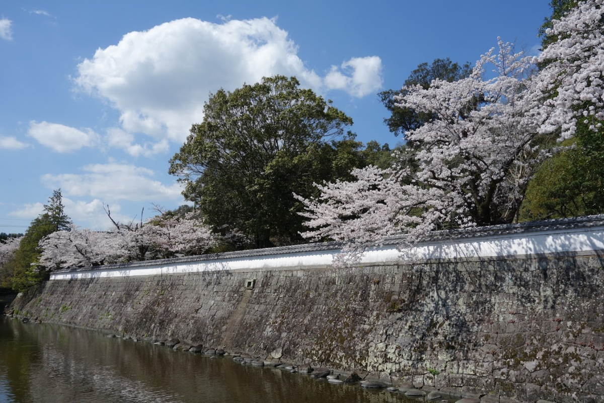 f:id:massneko:20210329101530p:plain