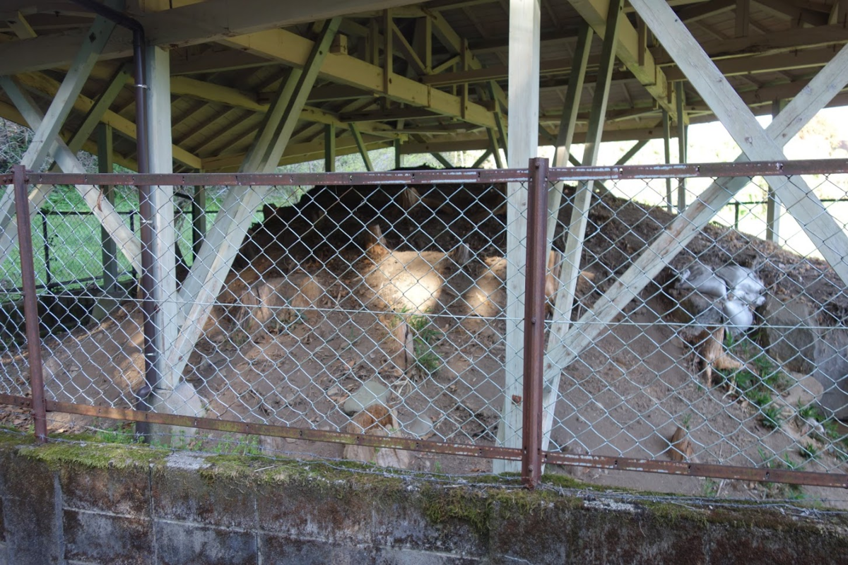 f:id:massneko:20210329102456p:plain