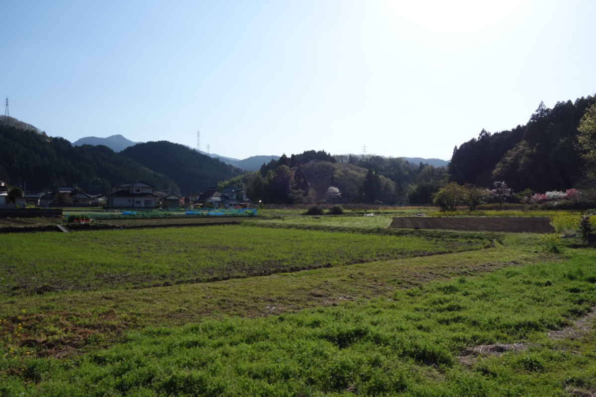 f:id:massneko:20210329102651p:plain