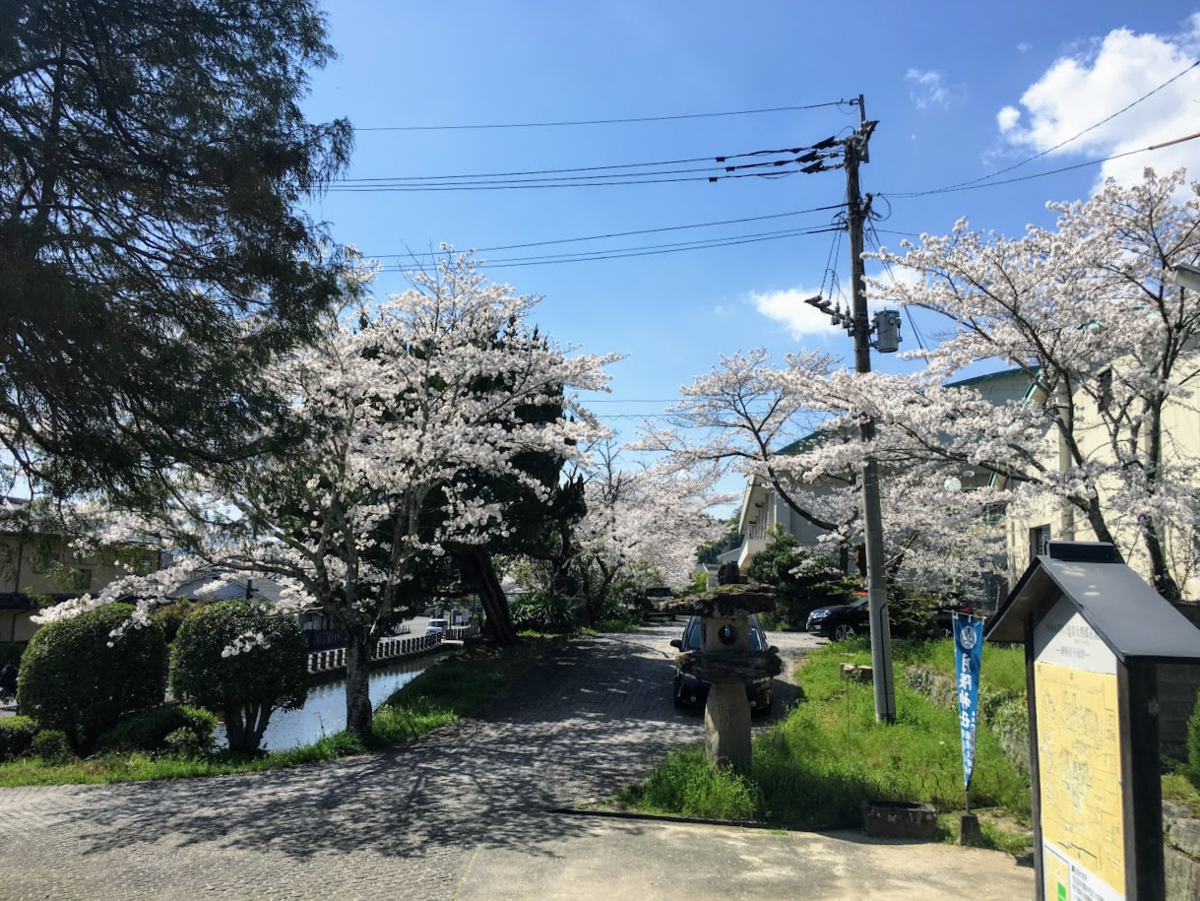 f:id:massneko:20210331215741p:plain