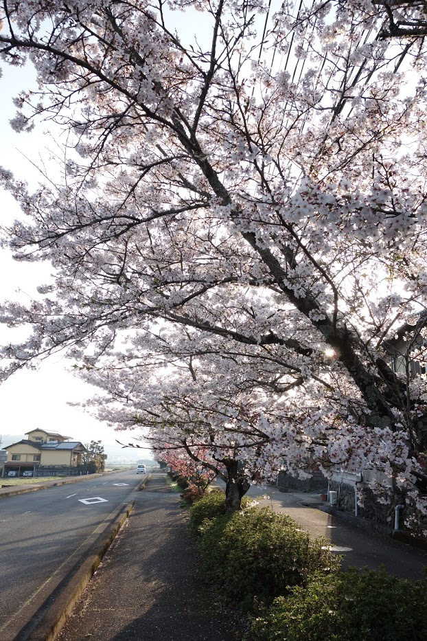 f:id:massneko:20210405152027p:plain