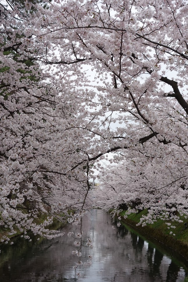 f:id:massneko:20210420144120p:plain