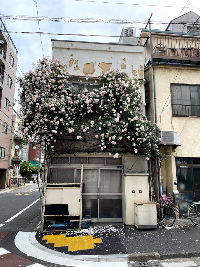 f:id:massneko:20210518211838p:plain