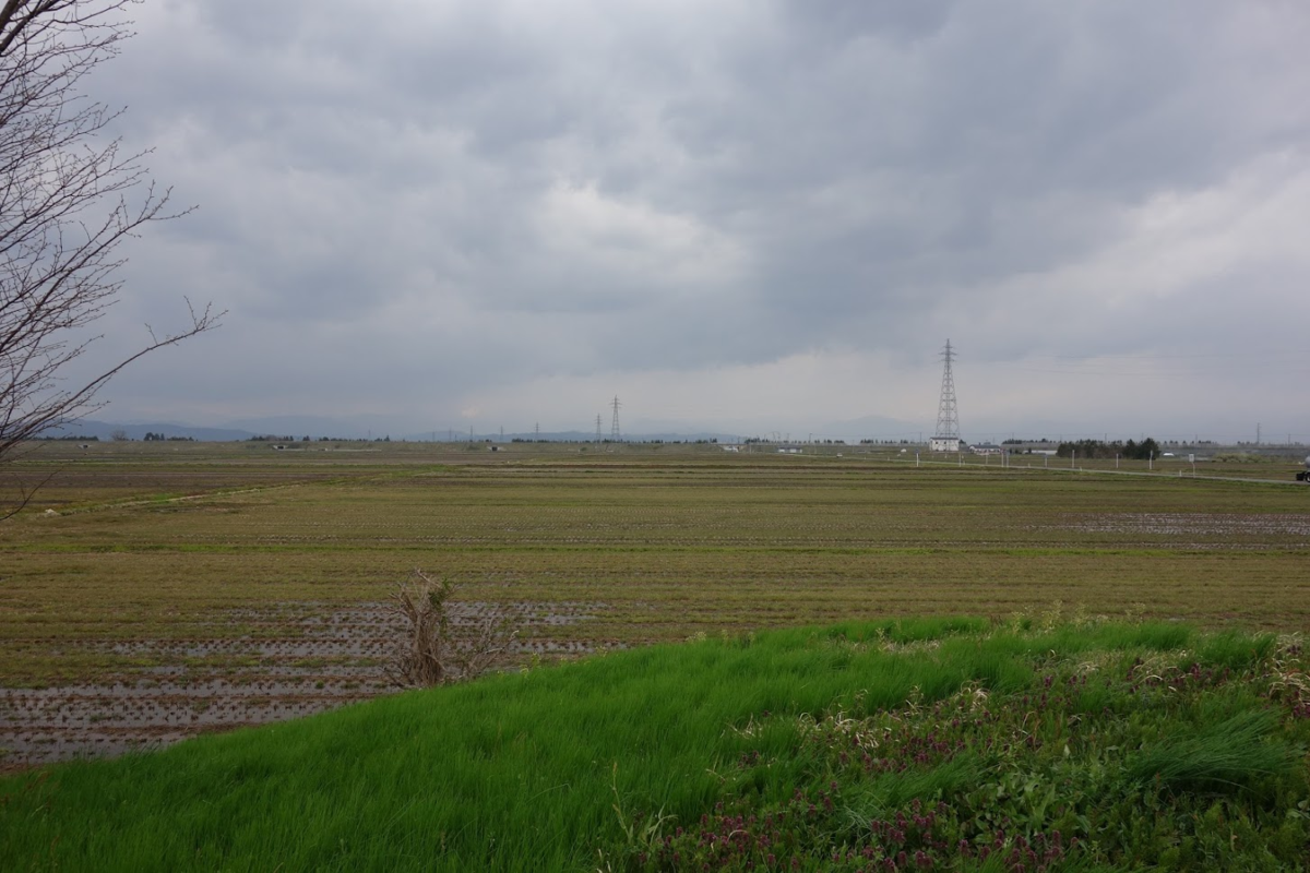 f:id:massneko:20210519145330p:plain