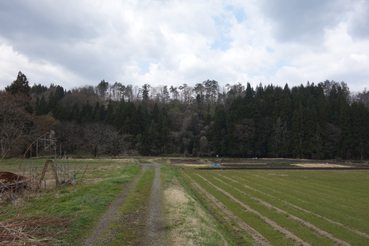 佐賀瀬川横穴古墳群 福島県大沼郡会津美里町佐賀瀬川向山 墳丘からの眺め