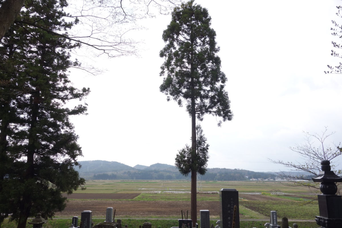 f:id:massneko:20210524122223p:plain