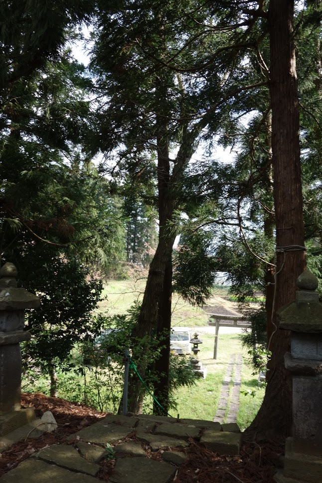 f:id:massneko:20210526133934p:plain