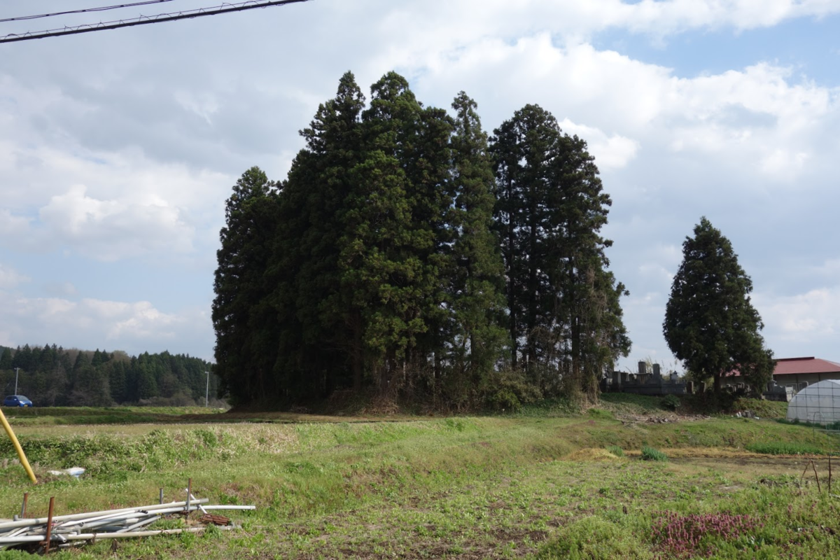 f:id:massneko:20210526134125p:plain