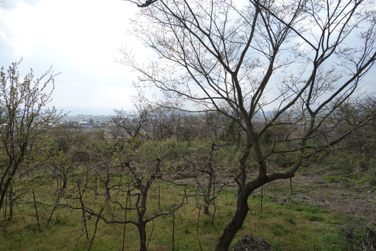 f:id:massneko:20210526134826p:plain