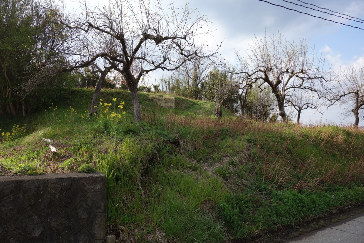 f:id:massneko:20210526140453p:plain