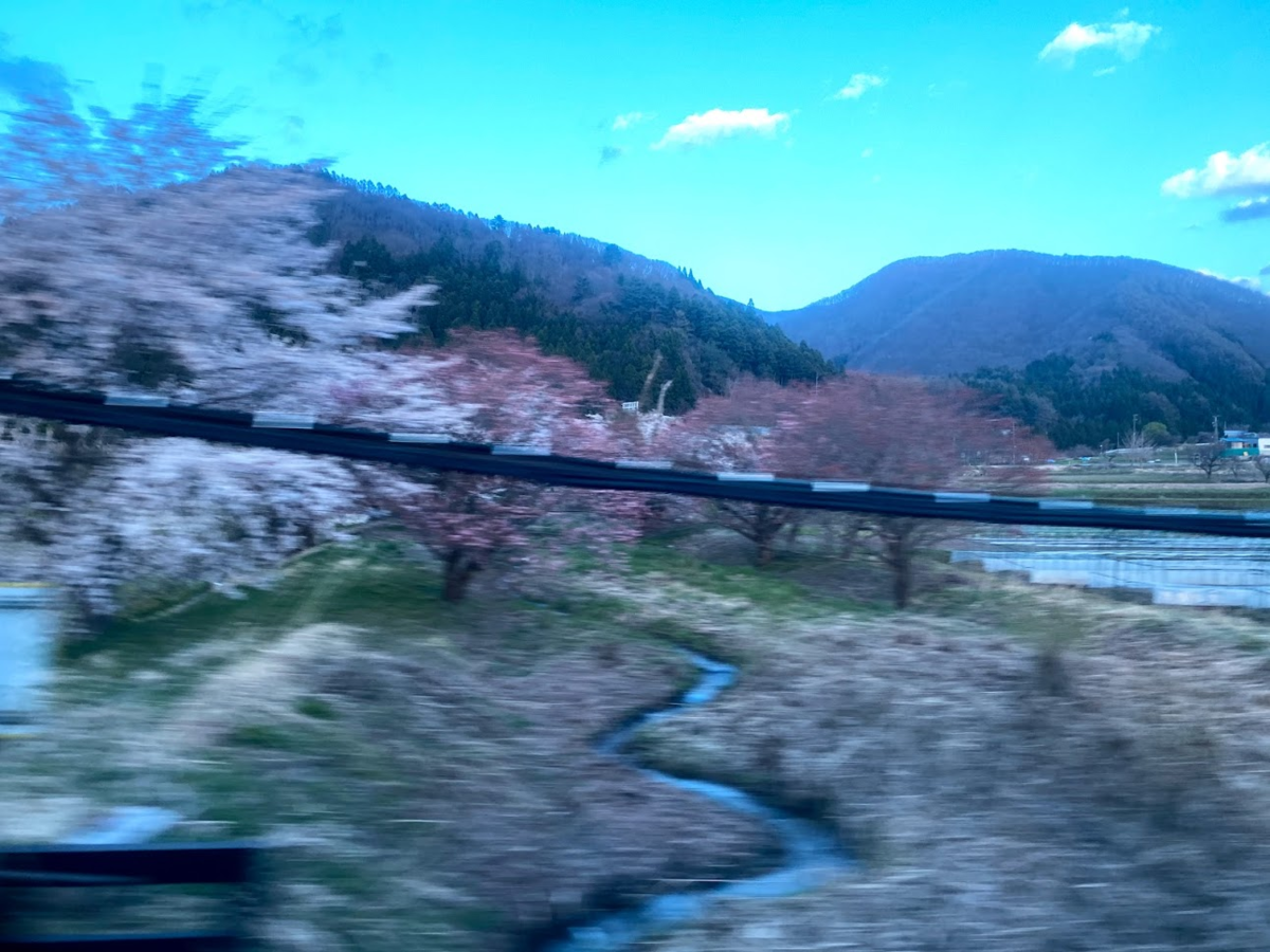 f:id:massneko:20210526140858p:plain