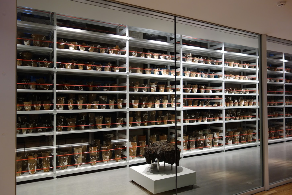 f:id:massneko:20210607134144p:plain