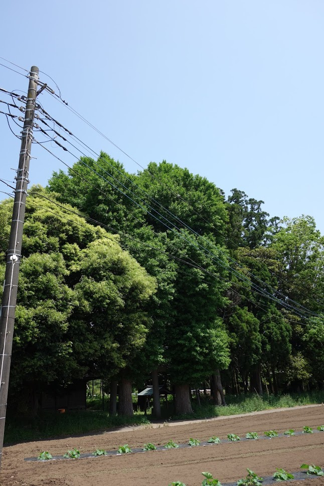 f:id:massneko:20210616130117p:plain