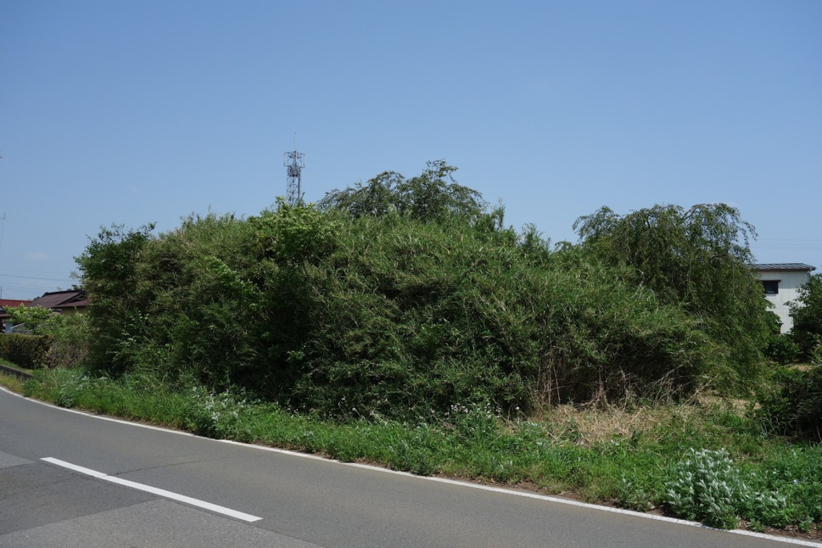 f:id:massneko:20210616132042p:plain