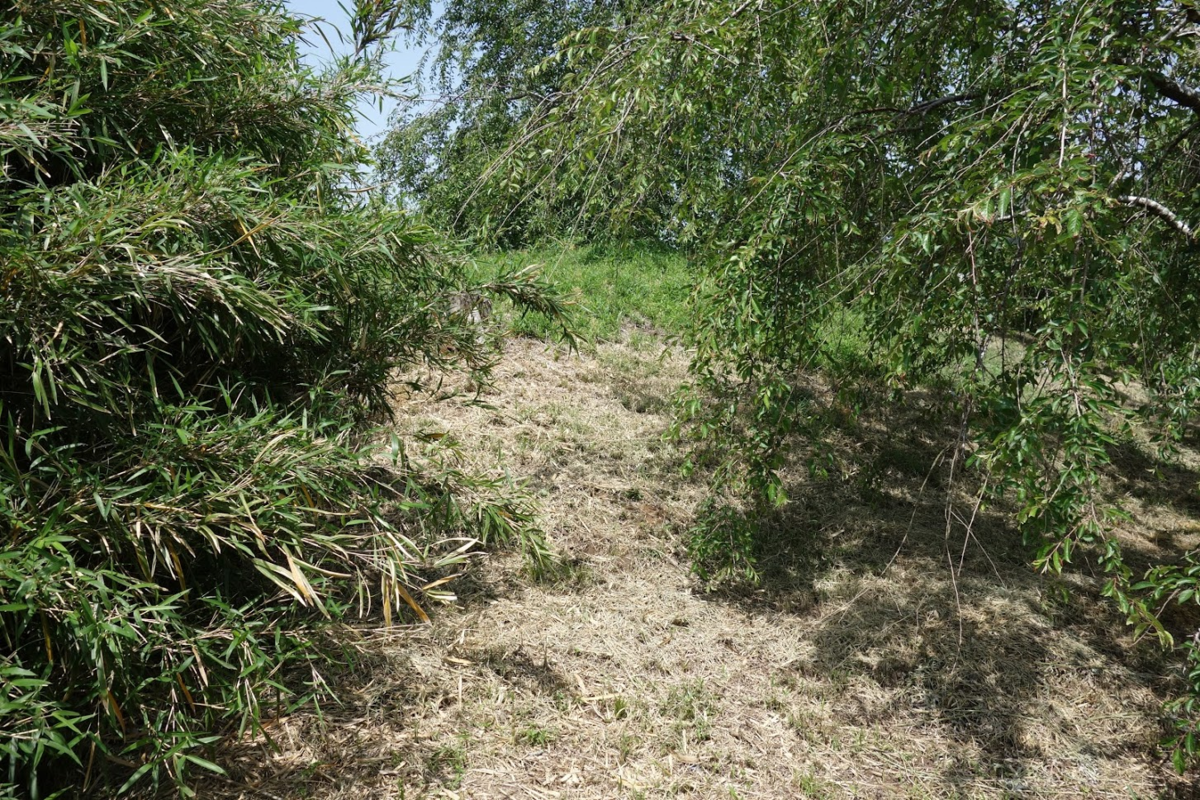 f:id:massneko:20210616132056p:plain