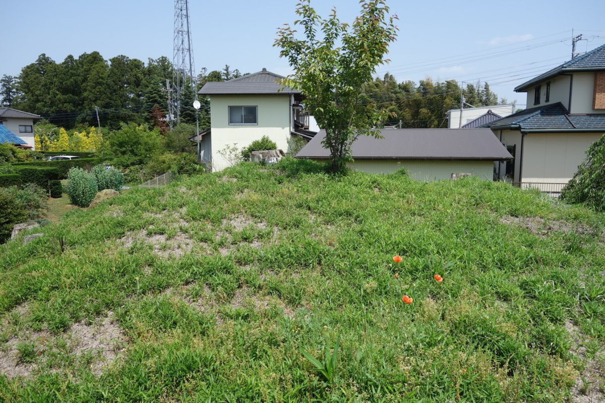 f:id:massneko:20210616132114p:plain