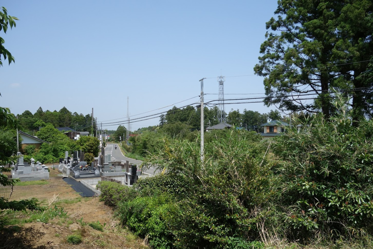 f:id:massneko:20210616133302p:plain