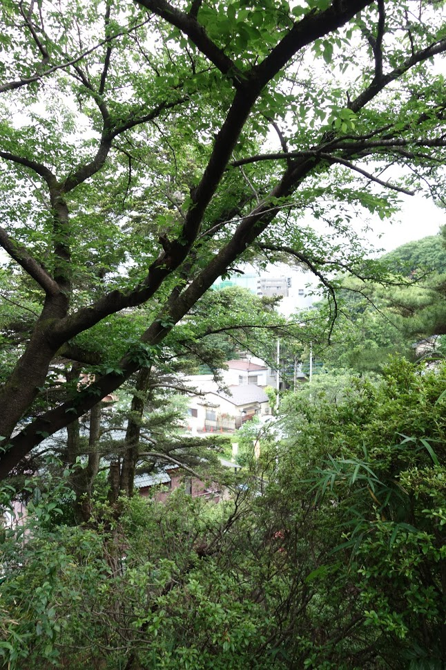 f:id:massneko:20210621125300p:plain
