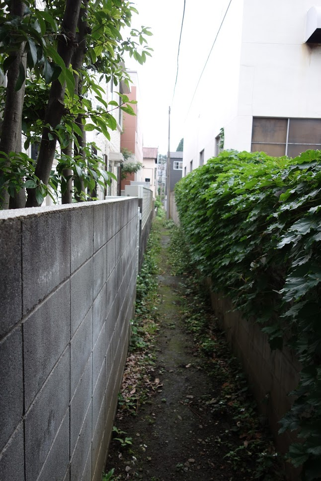 f:id:massneko:20210621130205p:plain