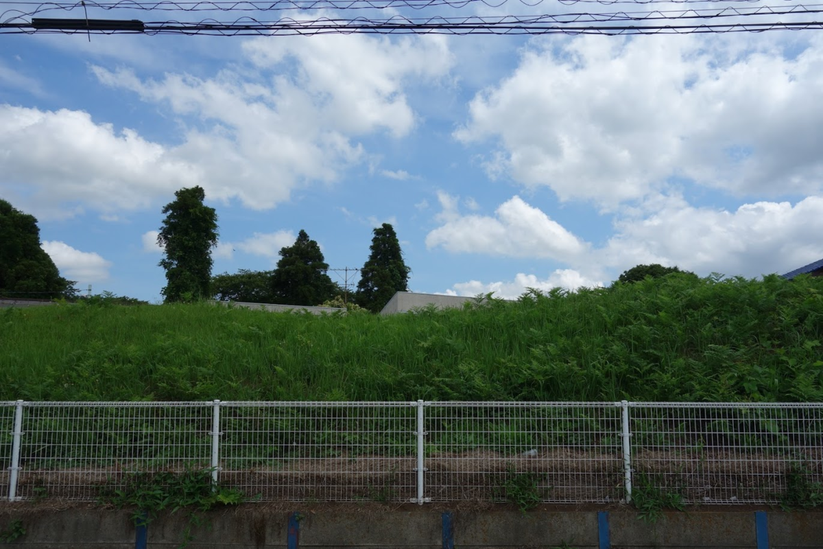 f:id:massneko:20210708204015p:plain
