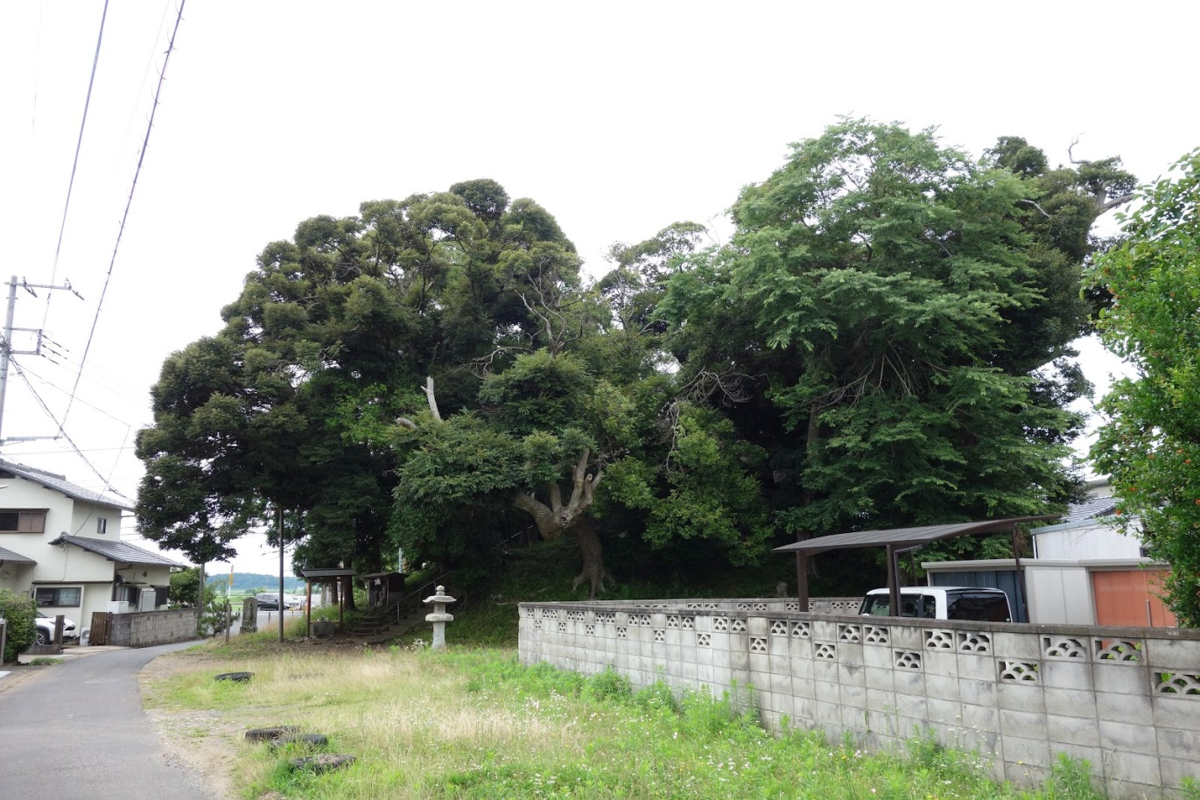 f:id:massneko:20210715212644p:plain