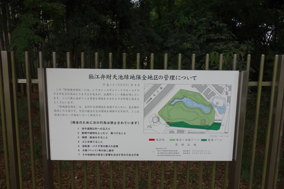f:id:massneko:20211005225255p:plain