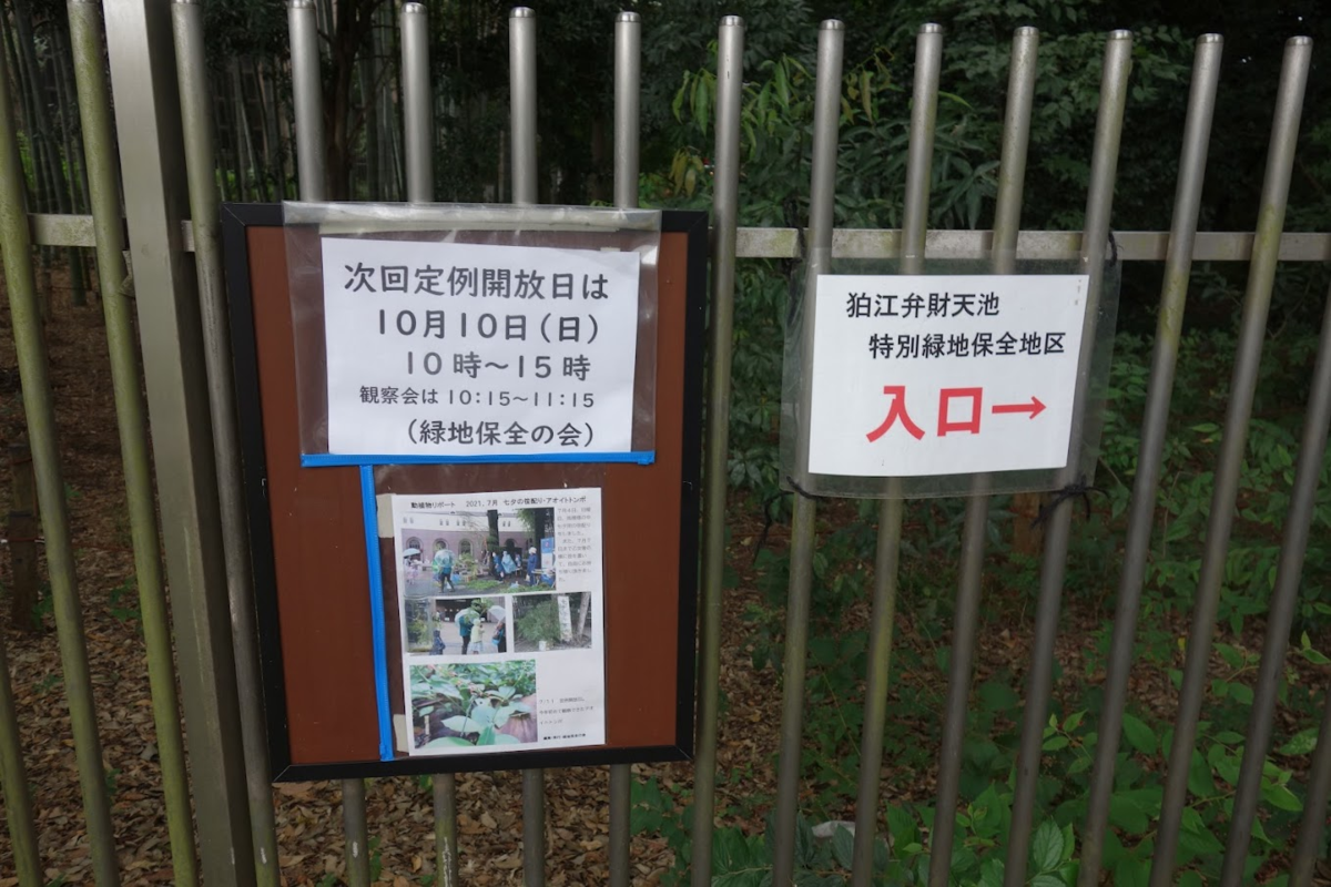 f:id:massneko:20211005225309p:plain