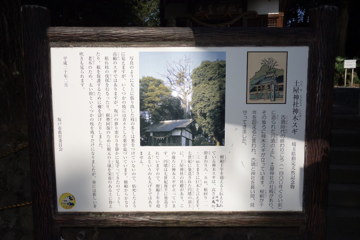 f:id:massneko:20211016132842p:plain