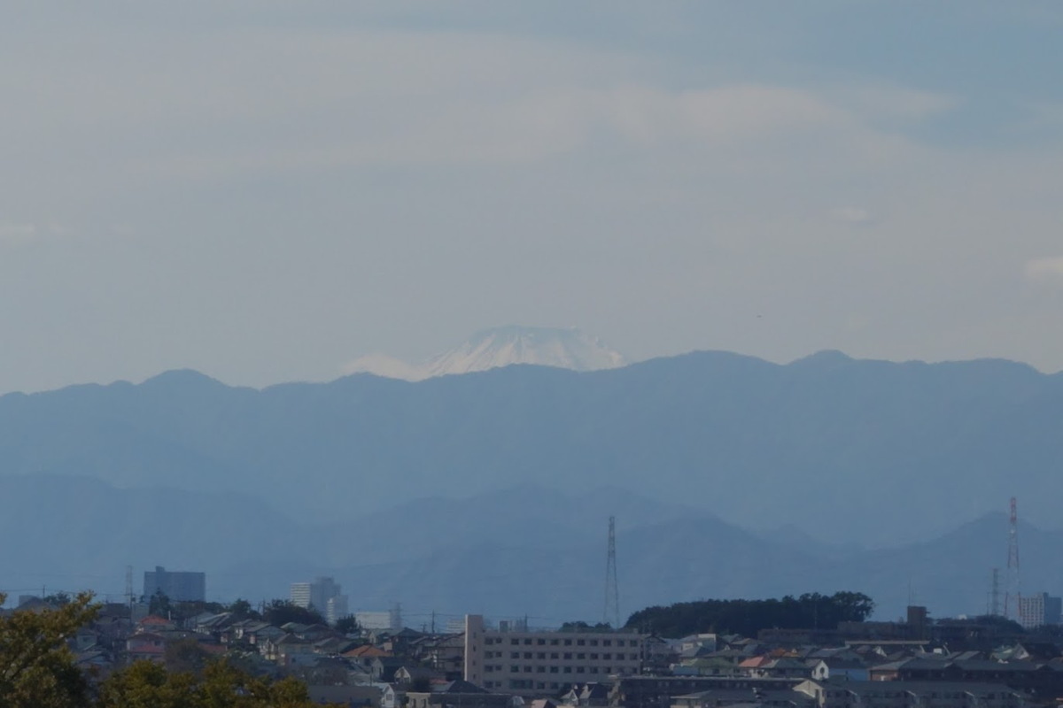 f:id:massneko:20211103102820p:plain