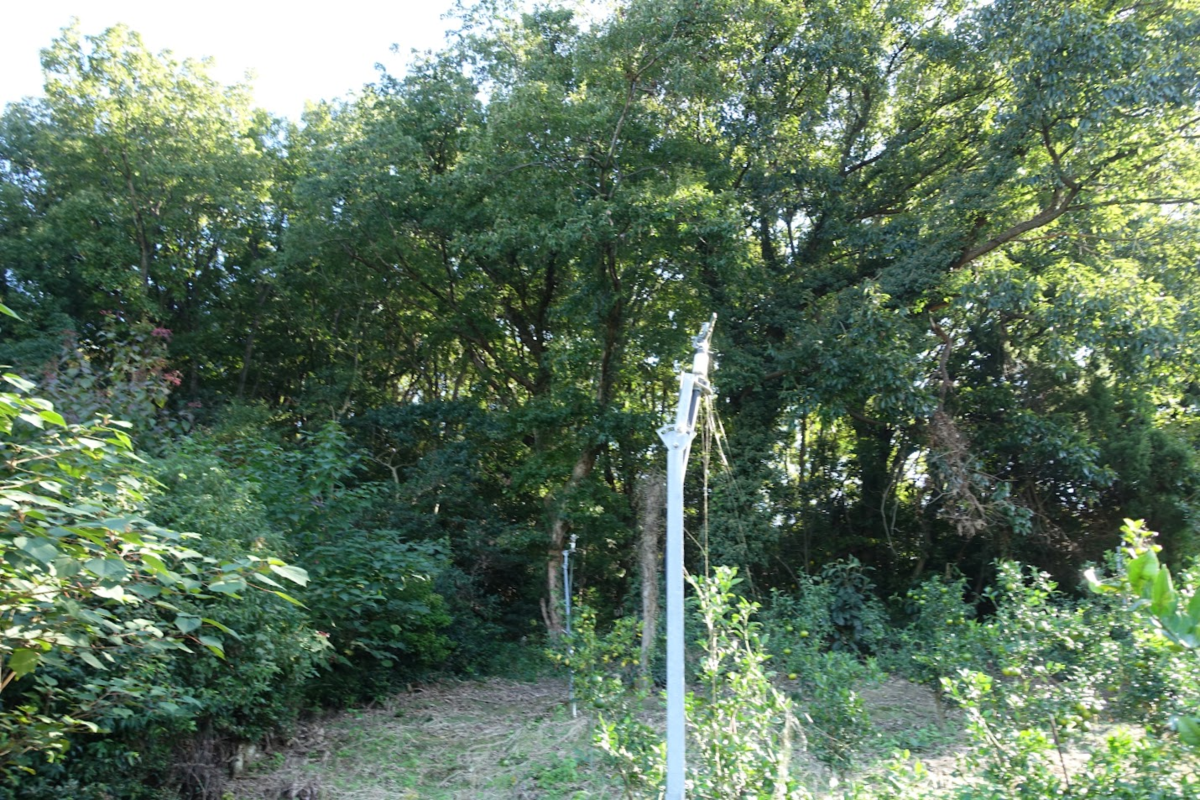 f:id:massneko:20211123103516p:plain