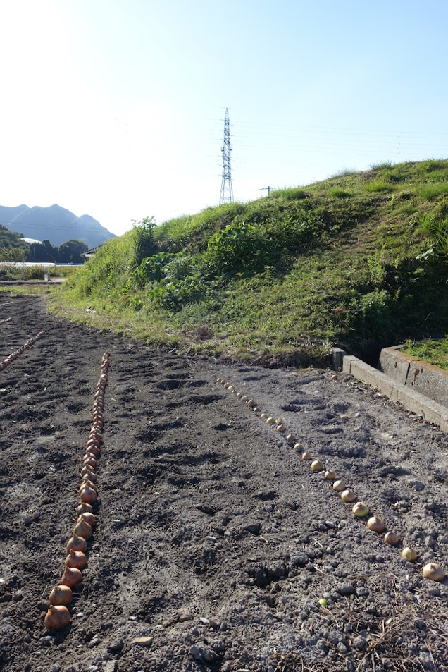 f:id:massneko:20211123113814p:plain