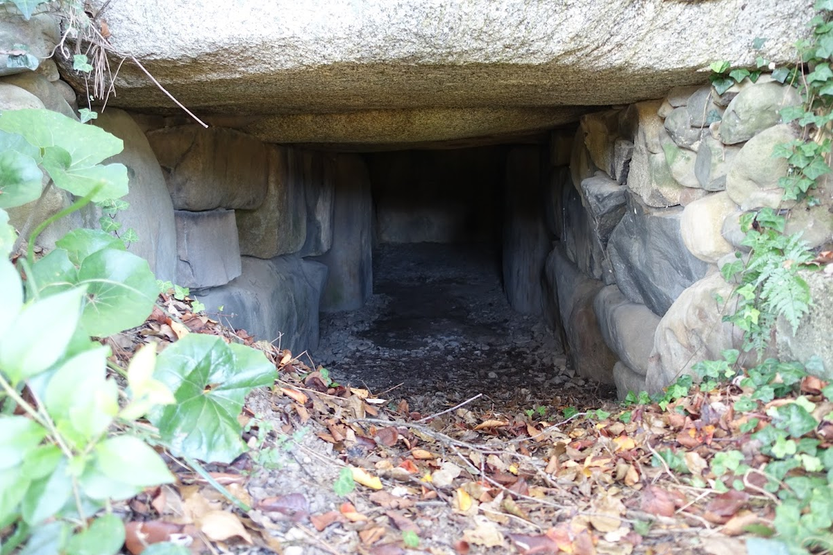 f:id:massneko:20211125213759p:plain